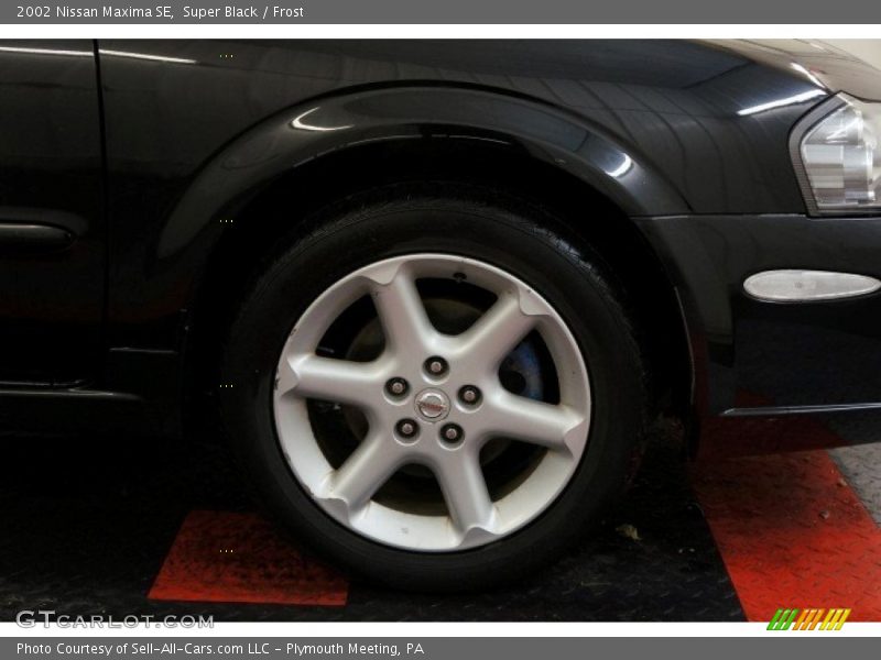 Super Black / Frost 2002 Nissan Maxima SE