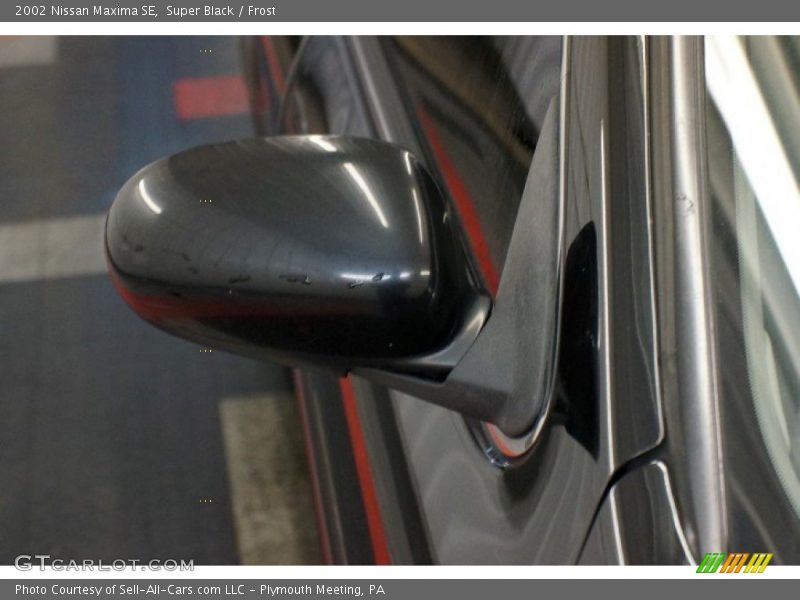 Super Black / Frost 2002 Nissan Maxima SE