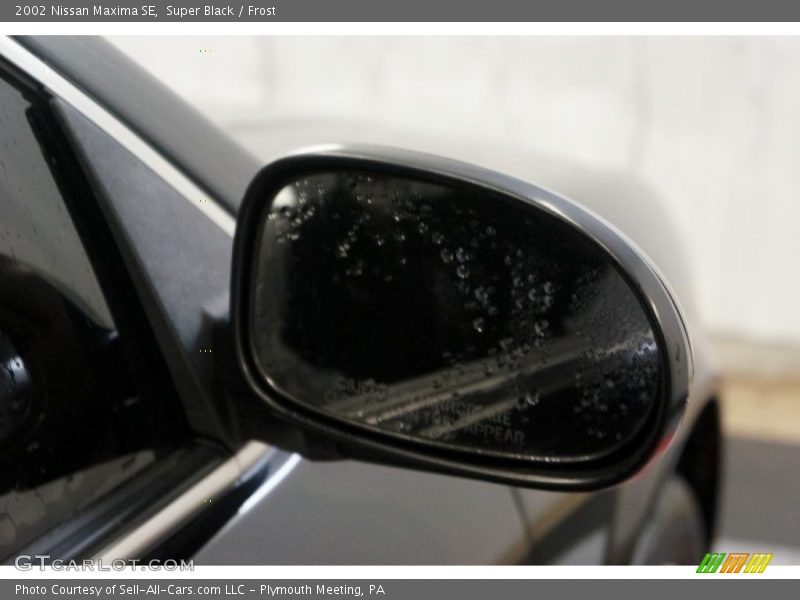 Super Black / Frost 2002 Nissan Maxima SE