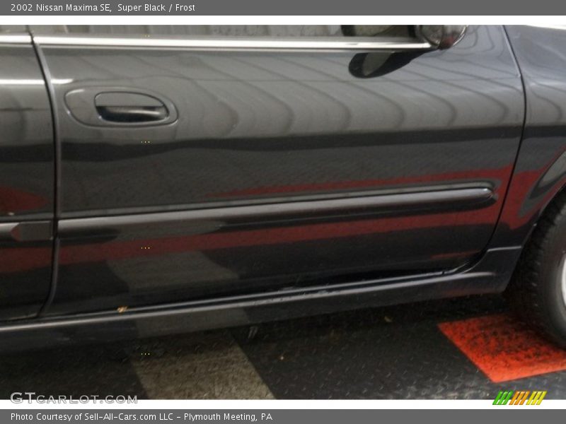 Super Black / Frost 2002 Nissan Maxima SE