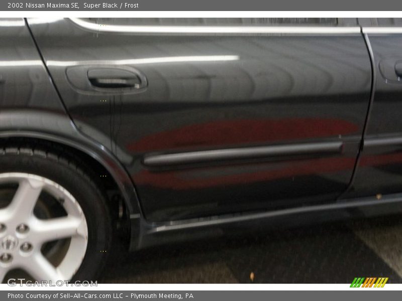 Super Black / Frost 2002 Nissan Maxima SE