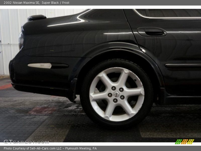 Super Black / Frost 2002 Nissan Maxima SE