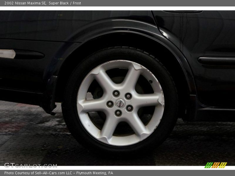 Super Black / Frost 2002 Nissan Maxima SE