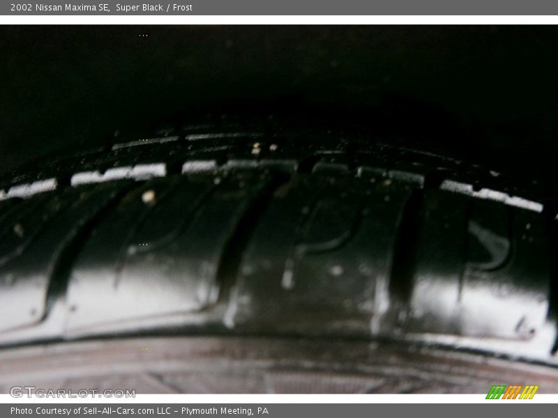 Super Black / Frost 2002 Nissan Maxima SE