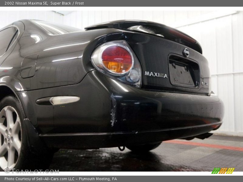 Super Black / Frost 2002 Nissan Maxima SE