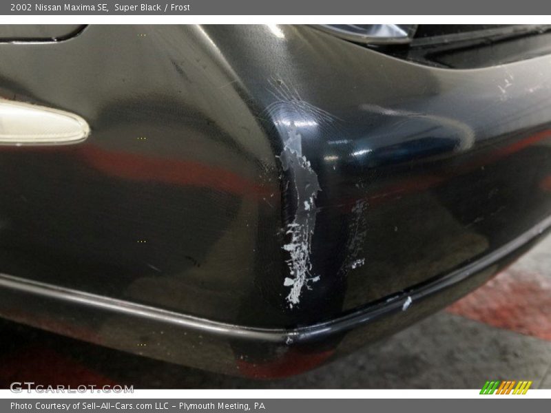 Super Black / Frost 2002 Nissan Maxima SE