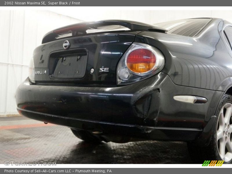 Super Black / Frost 2002 Nissan Maxima SE