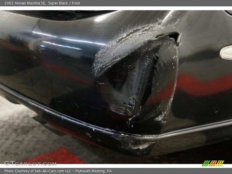 Super Black / Frost 2002 Nissan Maxima SE