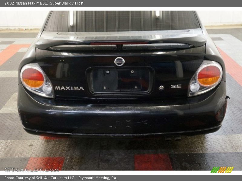 Super Black / Frost 2002 Nissan Maxima SE