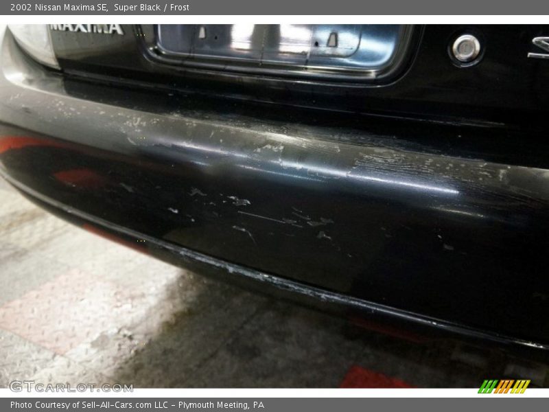 Super Black / Frost 2002 Nissan Maxima SE