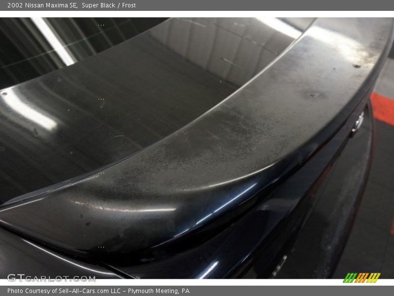 Super Black / Frost 2002 Nissan Maxima SE