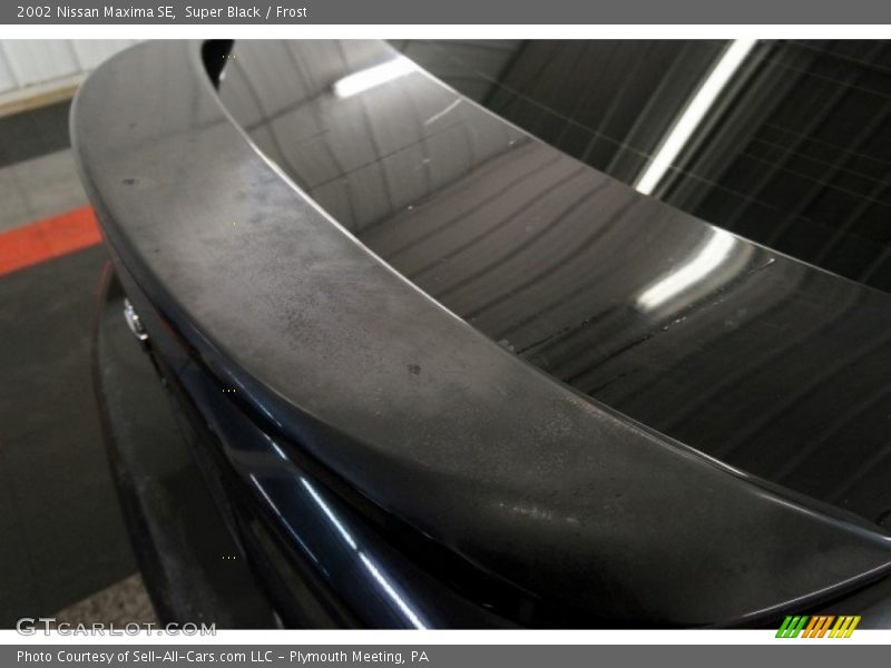 Super Black / Frost 2002 Nissan Maxima SE