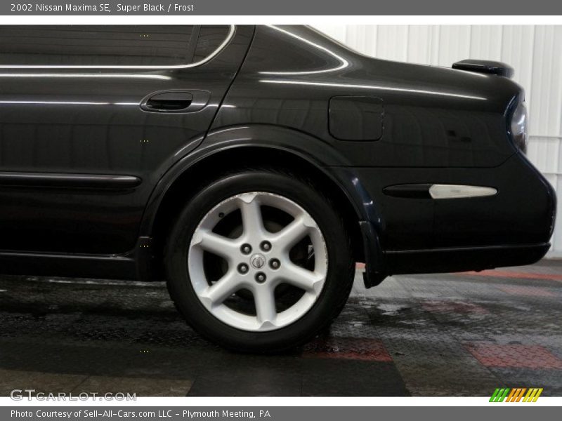 Super Black / Frost 2002 Nissan Maxima SE