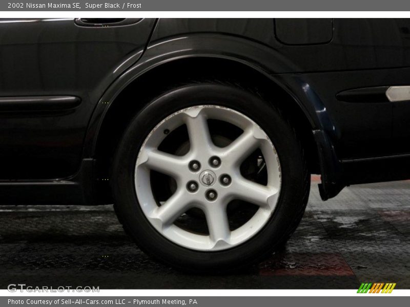 Super Black / Frost 2002 Nissan Maxima SE