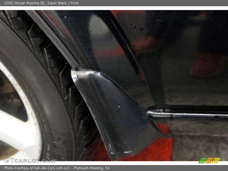 Super Black / Frost 2002 Nissan Maxima SE