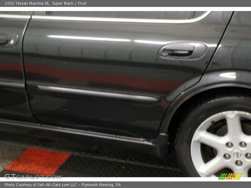 Super Black / Frost 2002 Nissan Maxima SE