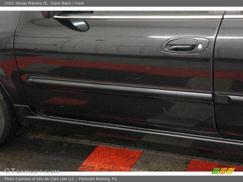 Super Black / Frost 2002 Nissan Maxima SE