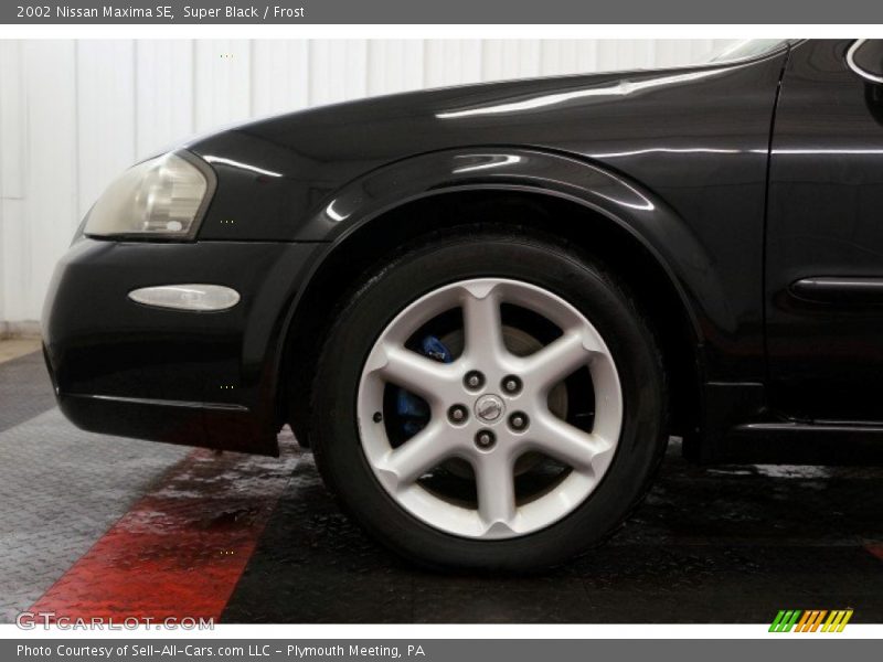 Super Black / Frost 2002 Nissan Maxima SE