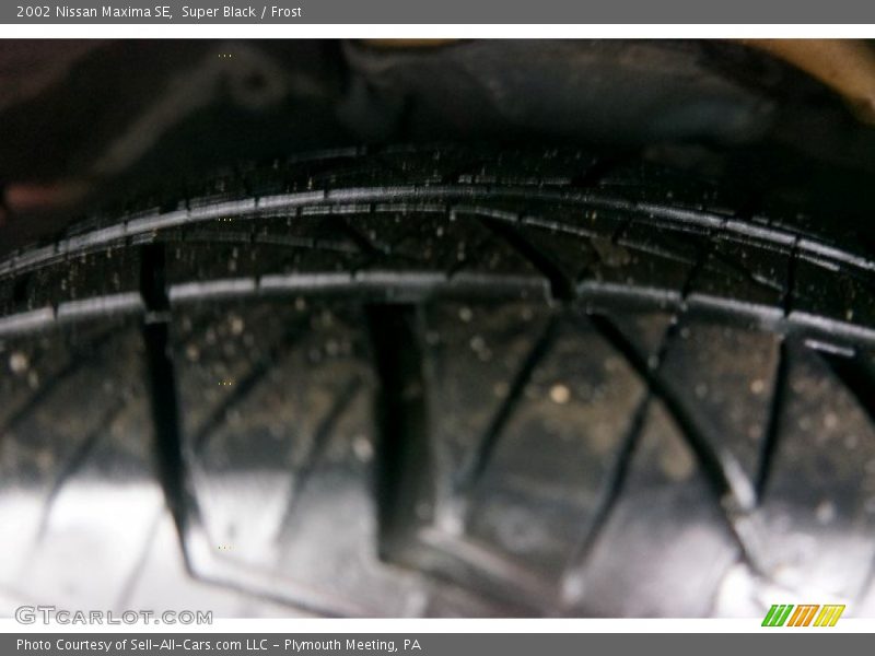 Super Black / Frost 2002 Nissan Maxima SE