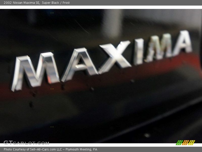 Super Black / Frost 2002 Nissan Maxima SE