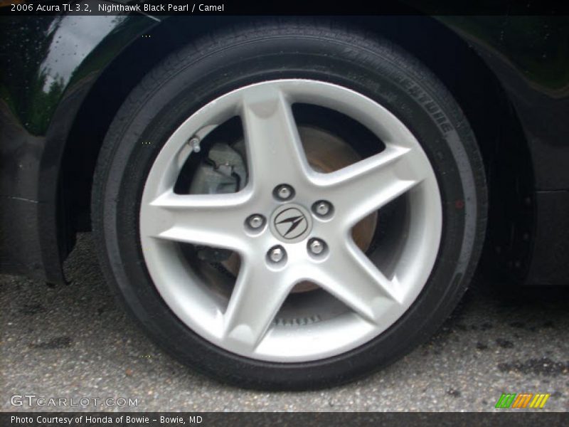 Nighthawk Black Pearl / Camel 2006 Acura TL 3.2