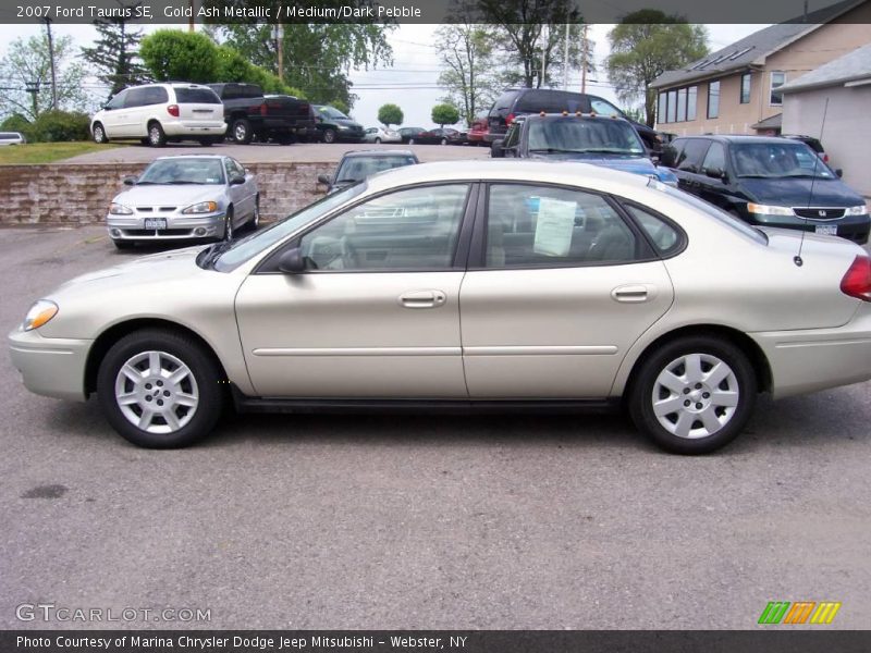 Gold Ash Metallic / Medium/Dark Pebble 2007 Ford Taurus SE