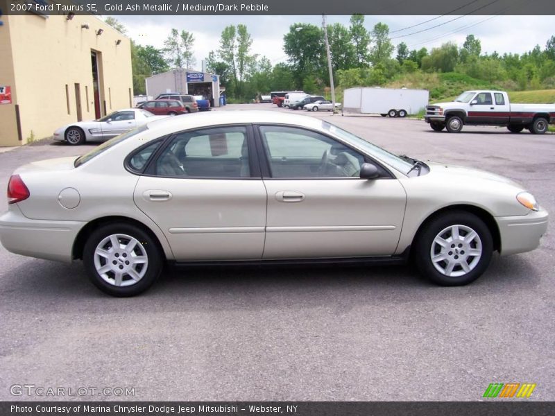 Gold Ash Metallic / Medium/Dark Pebble 2007 Ford Taurus SE