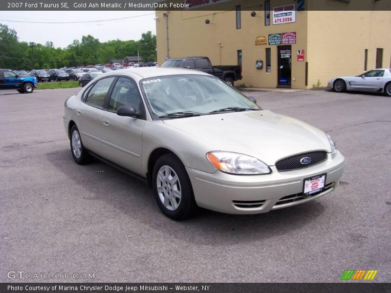 Gold Ash Metallic / Medium/Dark Pebble 2007 Ford Taurus SE