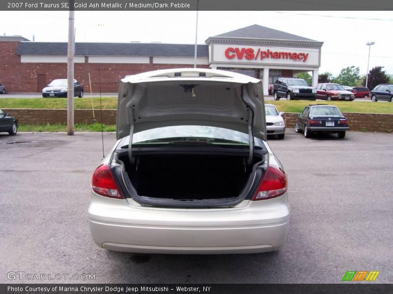 Gold Ash Metallic / Medium/Dark Pebble 2007 Ford Taurus SE