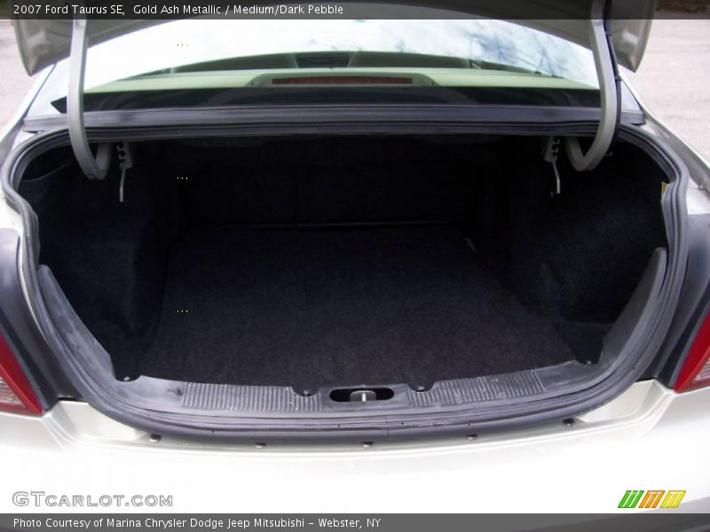Gold Ash Metallic / Medium/Dark Pebble 2007 Ford Taurus SE