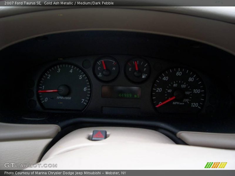 Gold Ash Metallic / Medium/Dark Pebble 2007 Ford Taurus SE