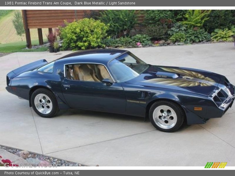 Dark Blue Metallic / Light Sandstone 1981 Pontiac Firebird Trans Am Coupe