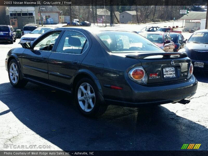 Gray Lustre / Frost 2003 Nissan Maxima SE