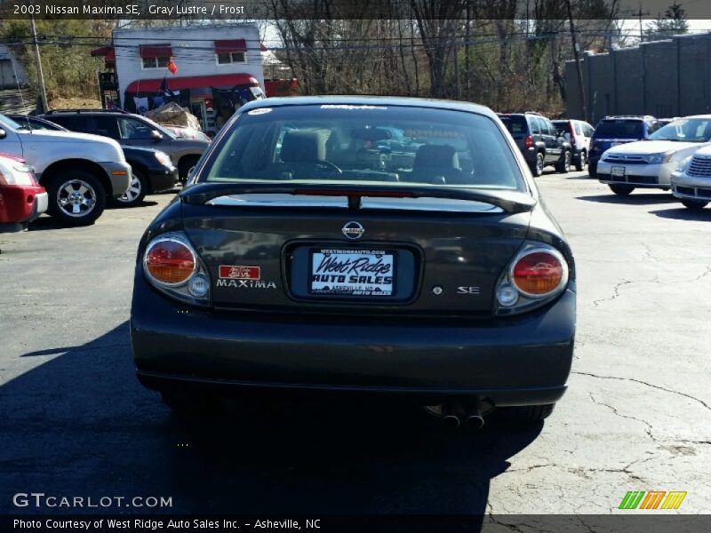 Gray Lustre / Frost 2003 Nissan Maxima SE