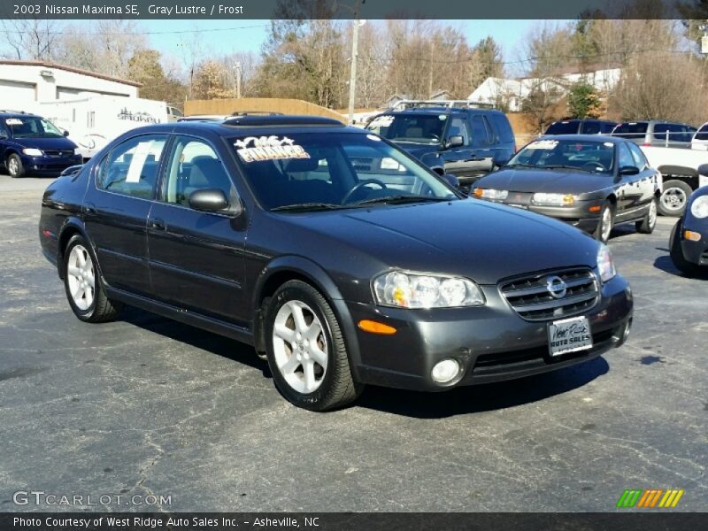 Gray Lustre / Frost 2003 Nissan Maxima SE