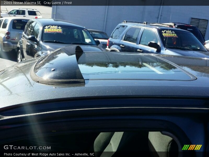 Gray Lustre / Frost 2003 Nissan Maxima SE