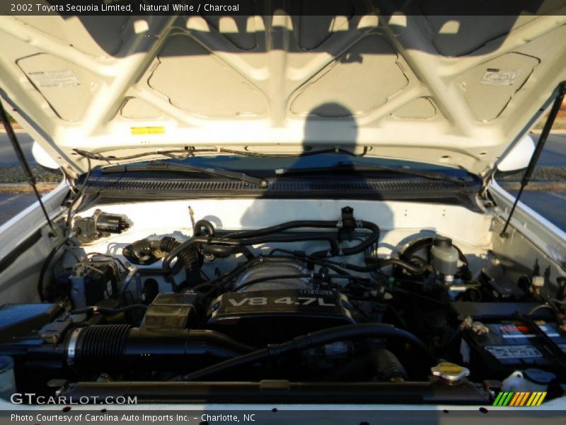 Natural White / Charcoal 2002 Toyota Sequoia Limited
