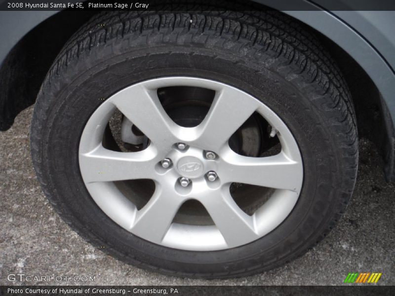 Platinum Sage / Gray 2008 Hyundai Santa Fe SE