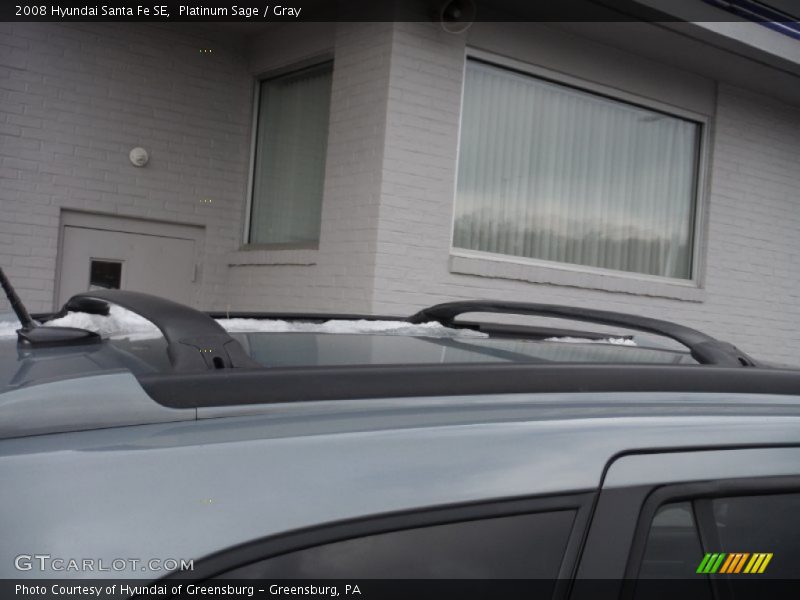 Platinum Sage / Gray 2008 Hyundai Santa Fe SE