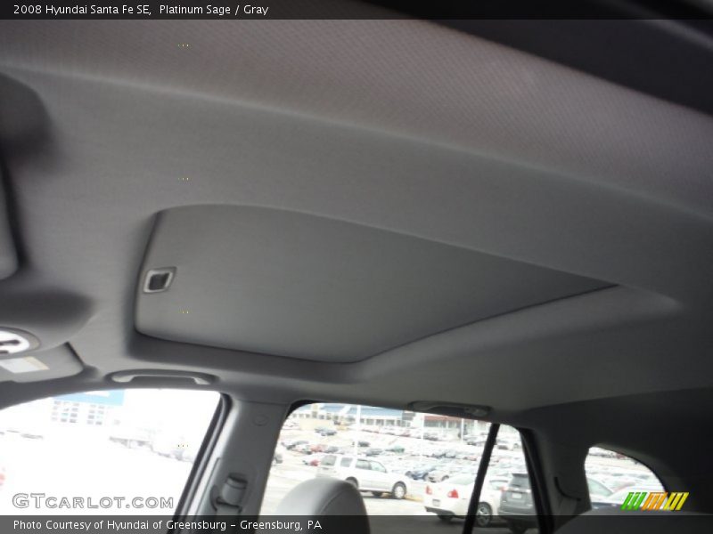 Platinum Sage / Gray 2008 Hyundai Santa Fe SE