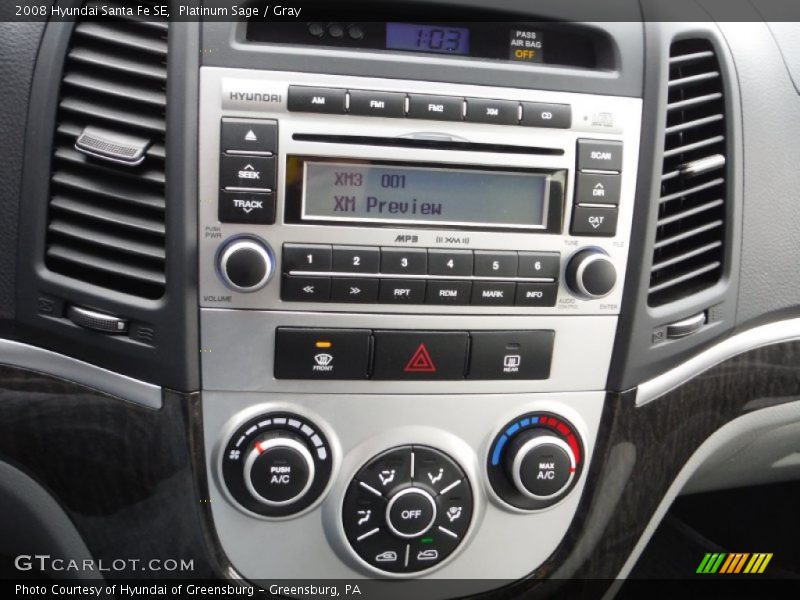 Platinum Sage / Gray 2008 Hyundai Santa Fe SE