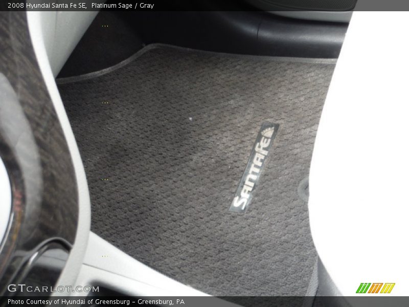 Platinum Sage / Gray 2008 Hyundai Santa Fe SE