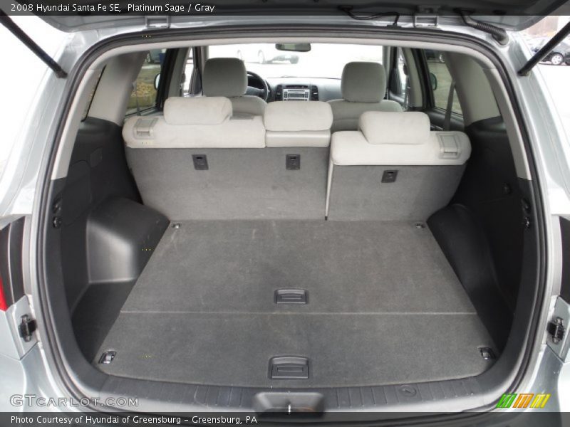 Platinum Sage / Gray 2008 Hyundai Santa Fe SE