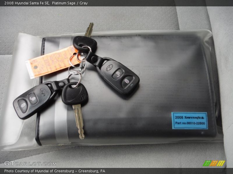 Platinum Sage / Gray 2008 Hyundai Santa Fe SE