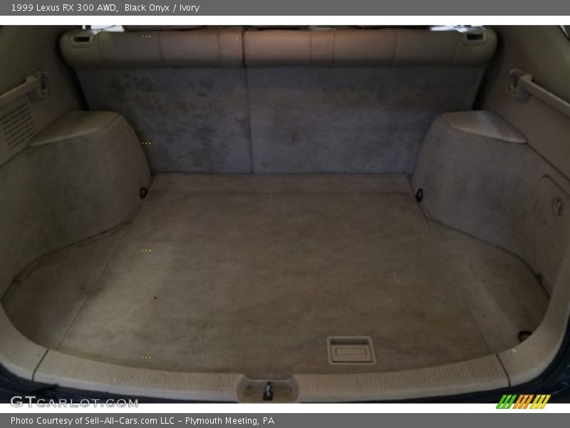 Black Onyx / Ivory 1999 Lexus RX 300 AWD