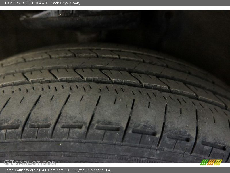 Black Onyx / Ivory 1999 Lexus RX 300 AWD