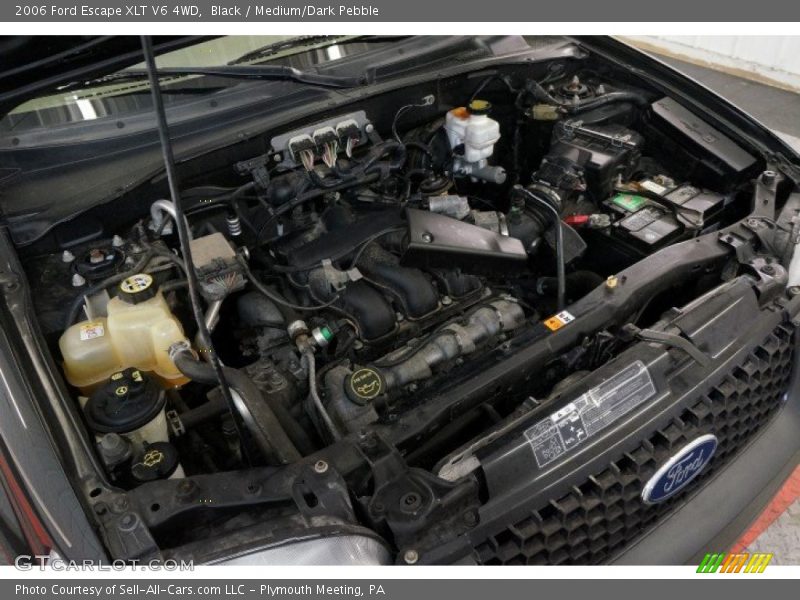 Black / Medium/Dark Pebble 2006 Ford Escape XLT V6 4WD