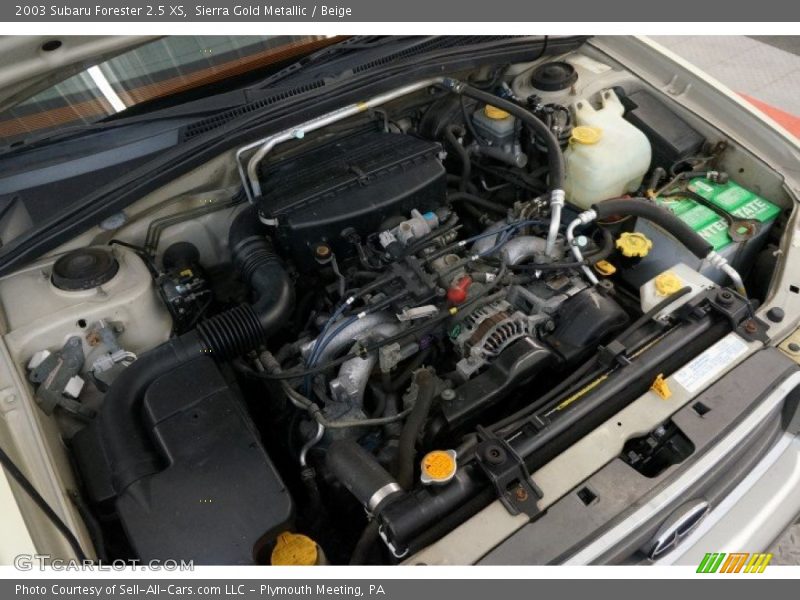 Sierra Gold Metallic / Beige 2003 Subaru Forester 2.5 XS
