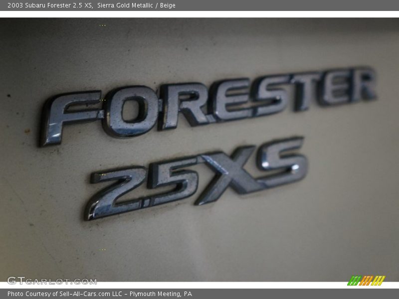 Sierra Gold Metallic / Beige 2003 Subaru Forester 2.5 XS