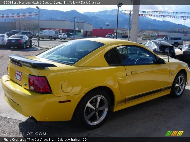 Screaming Yellow / Dark Charcoal 2004 Ford Mustang Mach 1 Coupe